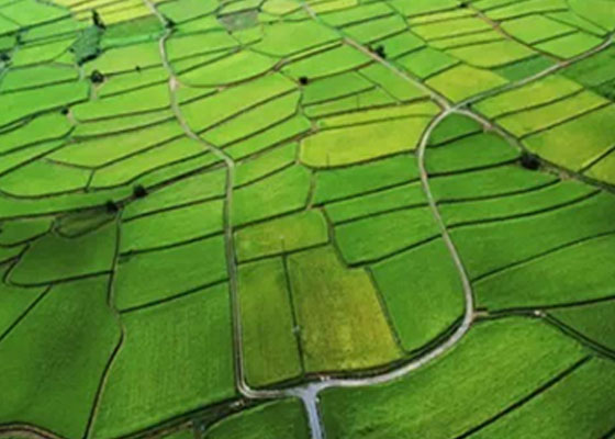 環(huán)?！鞍慈沼?jì)罰”罰到違法企業(yè)心疼